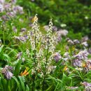 무주화원 이미지