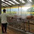 양지농장1 이미지