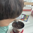 조원우 방울토마토 이미지