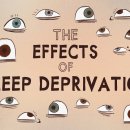 The efeects of sleep deprivation(10월19일) 이미지