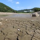 동외축산 이미지