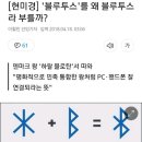 블루투스 어원 이미지