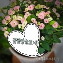 돼지대첩 수원화서오거리점 이미지