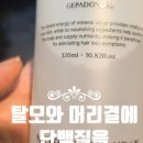 샤플리헤어컬러
