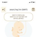가고파세탁소