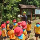 춘천유치원 이미지