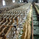 영해농장 이미지