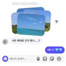 아르민 아니 라이너 아니 아르민 일상