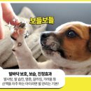 칠성약국 이미지