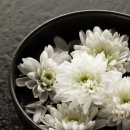 리빈 코리아 행정사사무소 이미지