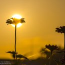 (주)너나우리 이미지