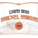 에스동물병원 이미지