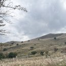 황매산매점화장실(황매산관광휴게소 화장실) | 2025 합천 황매산 억새축제 주차, 셔틀, 등산코스 꿀팁!