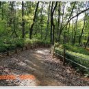 구름산산림욕장 이미지