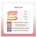 잠실 에스테틱 피부관리 맛집 ‘오늘도스무살’ 방문 후기