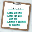 오메가3효능 추천, 온 가족 혈행 건강을 위한 선택