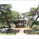 순흥면행정복지센터 | 영주 순흥면 행정복지센터 안의 봉도각 정원