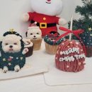 메이드알콩 이미지