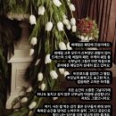 최애럽스냅 이미지