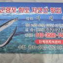 고성횟집 티스토리