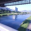 무지개 빨래방 이미지