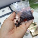 파주당 | 24시간단식 방법 식물성단백질로 배고픔을 이겨낼수 있는 산촌마을 쥐눈이콩