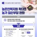 일손인력 데일리안
