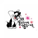 캘리커피