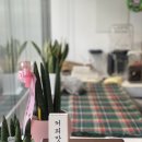 인서리커피