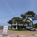 카페 바다야 | 인천시 영흥도 장경리 해수욕장 오션뷰 카페 바다야 내돈내산 방문후기