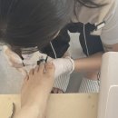 대전 갈마동 [네일연이프] 원컬러 페디큐어 후기 | 갈마동 네일