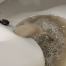 송학지안리즈 이미지