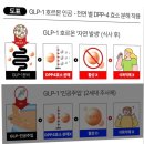 극단 무궁화 | 무궁화다이어트 감량 후기 및 비용 공유