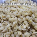햇 검정찰보리쌀 / 녹색보리/ 겉보리쌀/보리가루/보리차 이미지