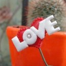 사랑빛안경 이미지