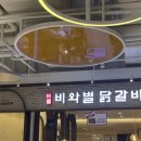 스타501 이미지