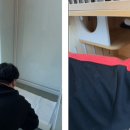 동물보육원 고양지부 이미지