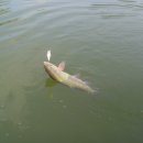 샘골 낚시터 이미지