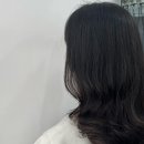 헤어(HAIR).다올 이미지
