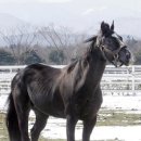 송곤목장 이미지