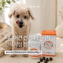 노견 강아지 영양제 고민 끝! 코버지 간식처럼 챙긴 백살구 퍼피어게인 후기