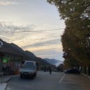 새밭식당 이미지