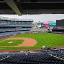 합천야구장 2구장 | 뉴욕 감성을 제대로 느끼는 여행 뉴욕 양키스 구장 투어 후기