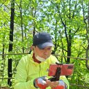 정릉66 이미지
