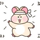 까사벨라풀빌라 이미지