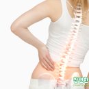 편한허리신경외과 이미지