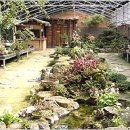 푸른밥집 이미지