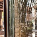 웨시커피 | [부산 금정구] 세계 100대 커피 선정: 부산 커피 맛집 모모스커피 ☕️(솔직후기🔥, 주문 팁까지)