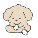 포리애견 이미지