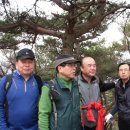 대전둘레산길(9구간) 이미지